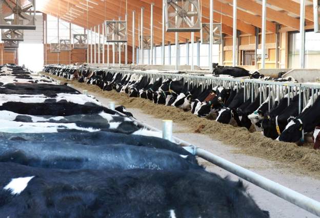 Farma Spreča želi uložiti u Kalesiji 38,5 miliona KM